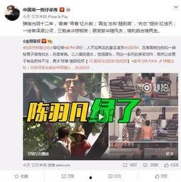 卓伟预告爆料视频下载安装,揭秘明星幕后故事,下载安装见证真相揭晓 第3张 卓伟预告爆料视频下载安装,揭秘明星幕后故事,下载安装见证真相揭晓 第3张
